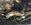 IMG_3821.jpeg