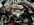 IMG_3415.jpeg