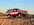 IMG_2876.jpeg