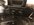 IMG_0810.jpeg