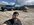 IMG_3429.jpeg