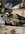 IMG_0058.jpeg