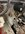 IMG_0059.jpeg