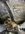 IMG_0060.jpeg