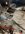 IMG_0062.jpeg