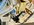 IMG_2478.jpeg