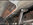 IMG_1494.jpeg