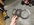 IMG_3034.jpeg