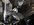 IMG_3855.jpeg