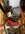 IMG_3037.jpeg