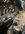 IMG_0073.jpeg