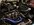 IMG_9863.jpeg