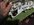 IMG_9806.jpeg