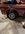 IMG_5510.jpeg