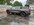 IMG_2617.jpeg
