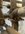 IMG_0083.jpeg