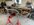 IMG_3893.jpeg
