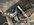 IMG_3898.jpeg