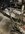 IMG_0097.jpeg