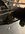 IMG_0100.jpeg