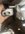 IMG_1017.jpeg