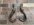 IMG_2132.jpeg