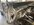 IMG_2137.jpeg