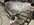 IMG_2141.jpeg IMG_2141.jpeg