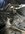 IMG_2256.jpeg
