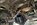 IMG_5914.jpeg