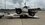 IMG_1724.jpeg