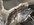 IMG_2150.jpeg