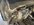 IMG_2151.jpeg