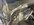 IMG_2155.jpeg