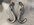 IMG_2149.jpeg