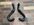 IMG_2156.jpeg