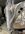 IMG_2174.jpeg