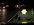 IMG_2729.jpeg