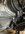 IMG_0146.jpeg