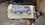 IMG_8282.jpeg