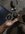 IMG_9982.jpeg