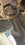 IMG_7103.jpeg
