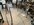 IMG_3981.jpeg