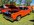 IMG_1236.jpeg