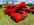 IMG_1265.jpeg