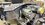 IMG_1768.jpeg