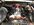 IMG_5653.jpeg