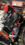 IMG_5657.png