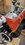 IMG_8315.jpeg