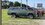 IMG_8323.jpeg